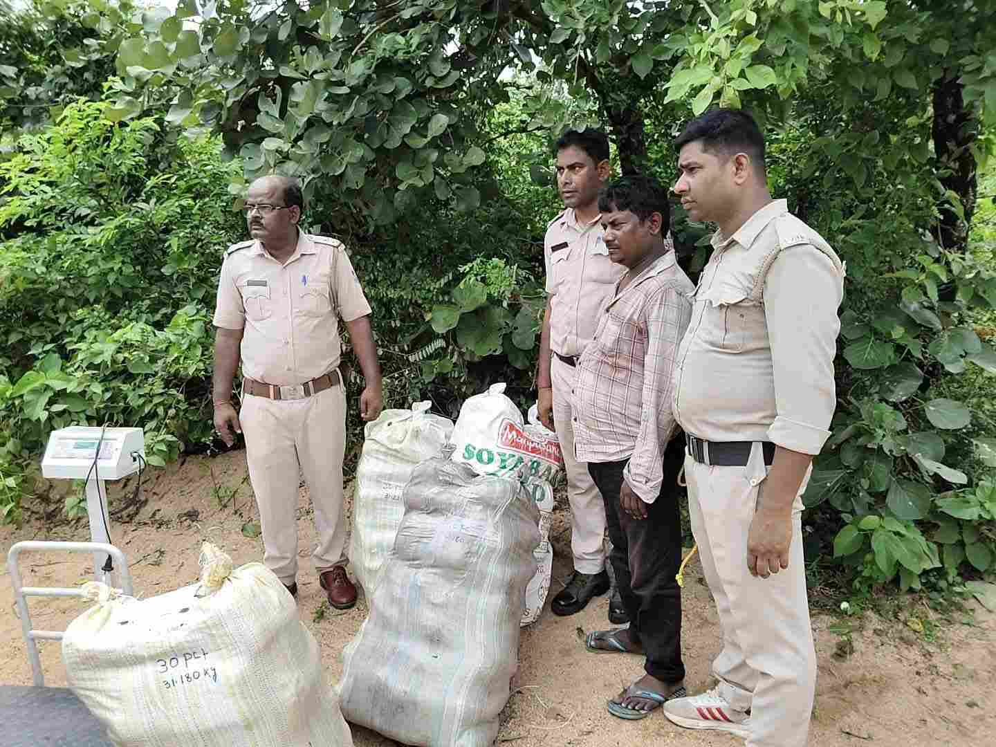 झारखंड-बंगाल बॉर्डर पर पुलिस का शिकंजा, अंतरराज्यीय गांजा तस्करी नेटवर्क को बड़ा झटका; 230 किलो मादक पदार्थ बरामद